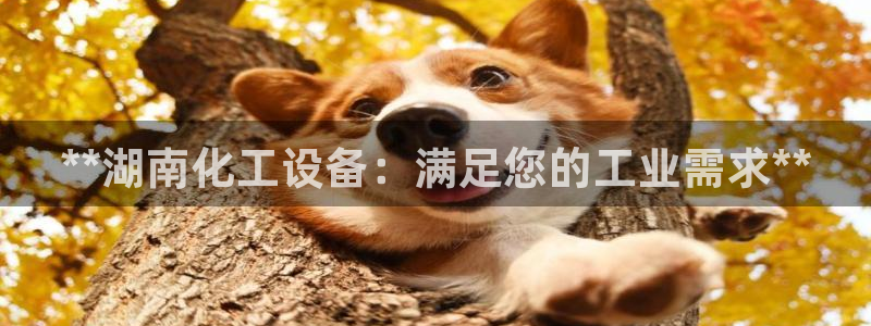 天辰团队玩彩平台是真的吗