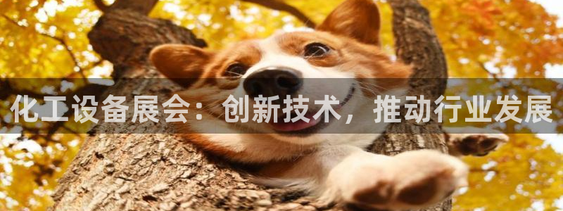 天辰会员开户流程
