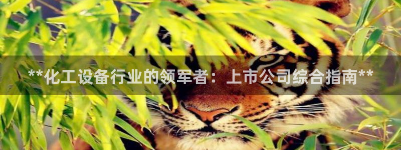 天辰平台登录注册