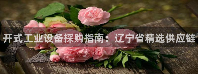 天辰平台招商1111怎么样啊