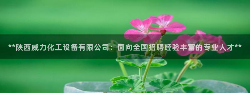 天辰信息