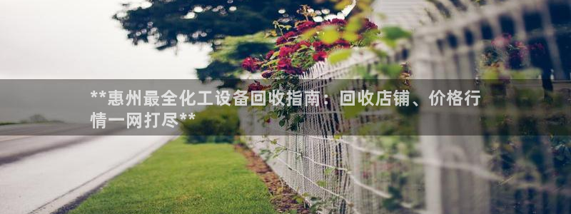 天辰平台注册地址怎么填不了