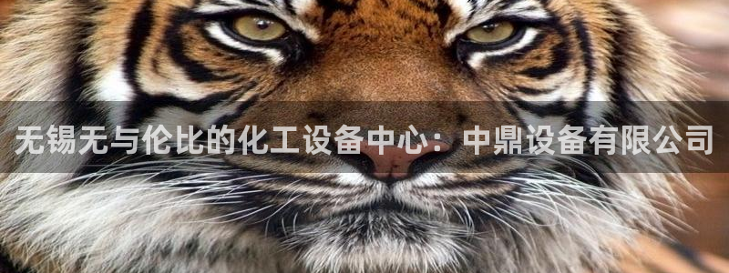 天辰平台网