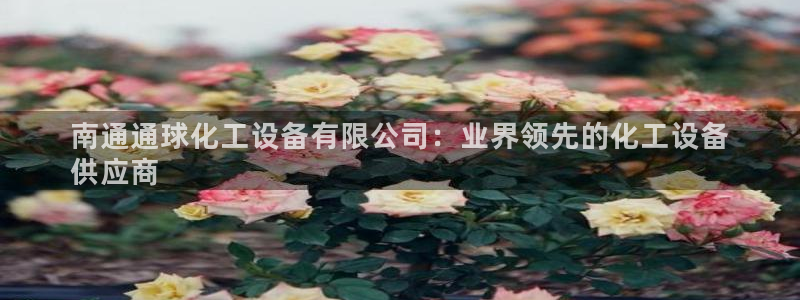 天晨测绘有限公司