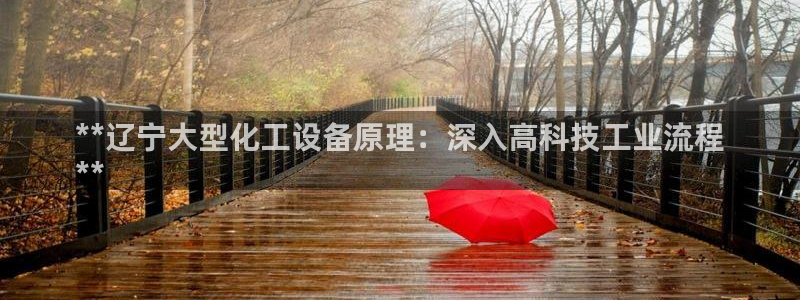 天辰娱乐的老板是谁啊