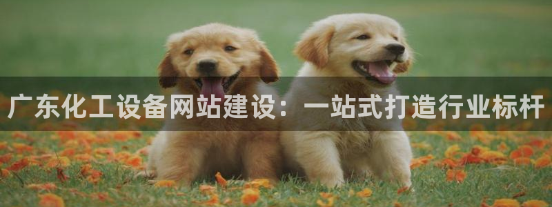 天辰平台注册地址在哪里查