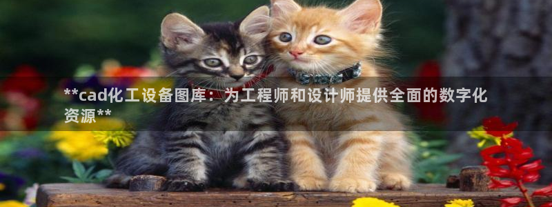天辰平台注册登录地址在哪里看