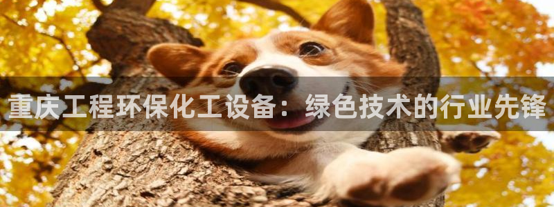 天辰平台q665.786