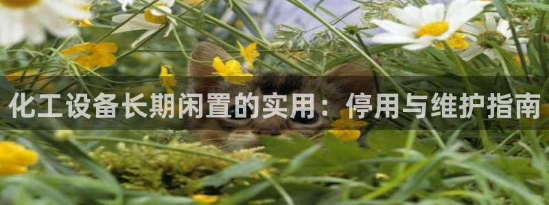 天辰会员开户