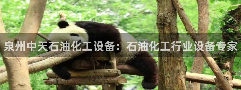 天辰平台算7O777