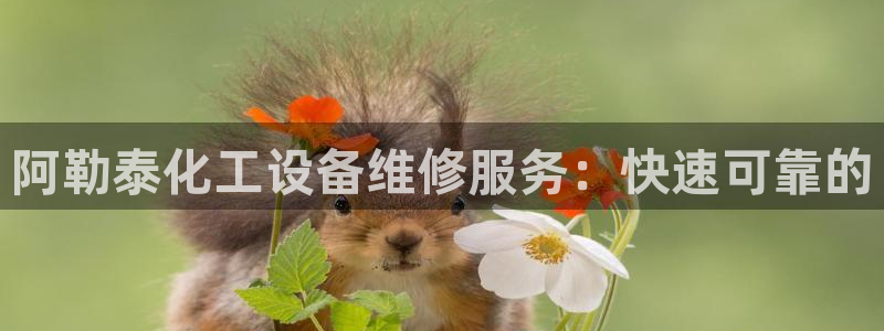 天辰平台易 411o31 天辰