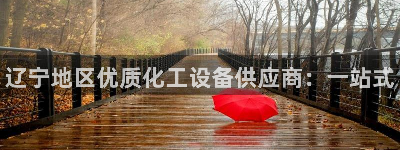 天辰平台用户登录不上去