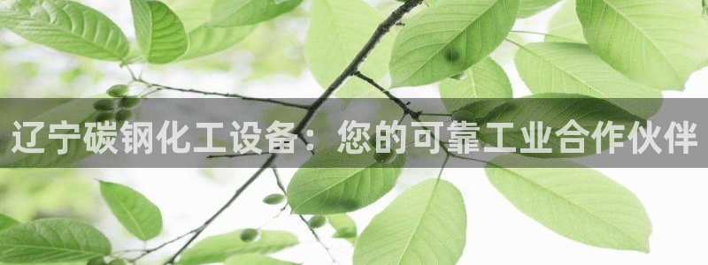 天辰测速在线登录