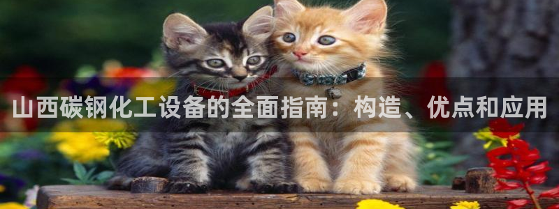 天辰平台会员多少钱一个