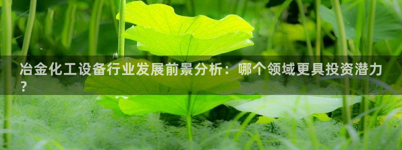 天辰平台会员登录不了