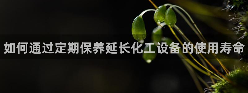 天辰平台用户注册不了