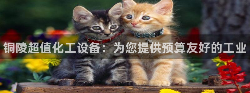天辰娱乐平台是黑网吗还是白网