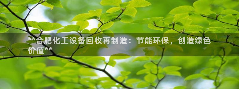 天辰娱乐平台用户评价与反馈