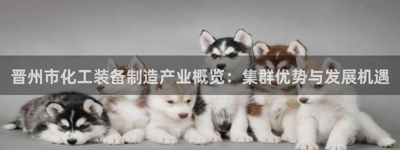 天辰平台会员：晋州市化工装备制造产业概览：集群优势与发展机遇