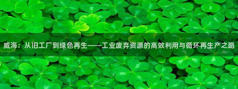 天辰平台网址是什么：威海：从旧工厂到绿色再生——工业废弃资源
