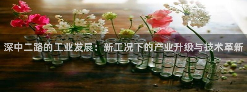 天辰平台用户登录入口：深中二路的工业发展：新工况下的产业升级