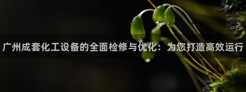 天辰注册链接怎么弄