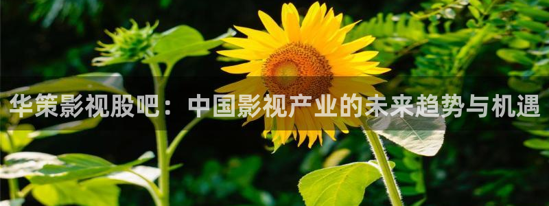四库影院永久在线