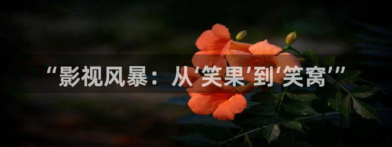 四库影院永久免费观看