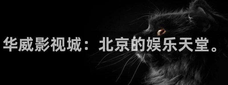 四库影院在线看