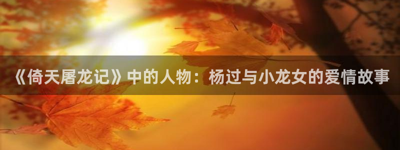 四虎四库影院