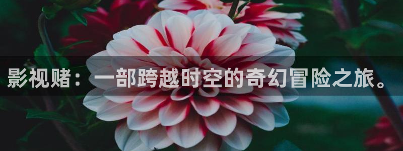221ddaom四库影院进入2