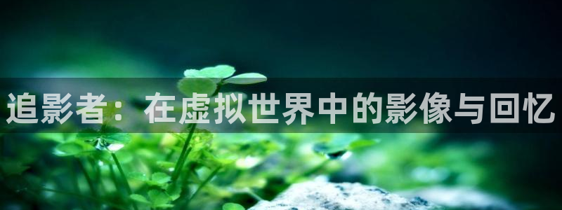 四库影院免费观看