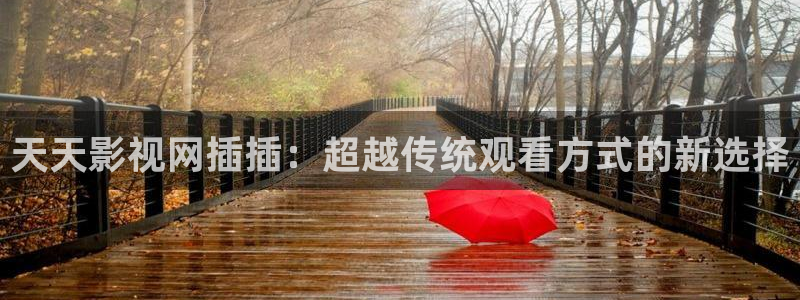 四库影院永久在线影院