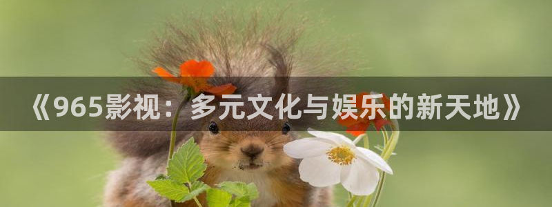 四库影院在线观看