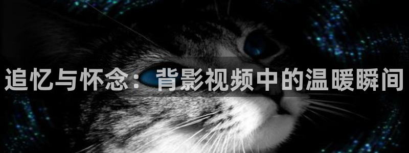 四库影院在线电影免费观看全集高清下载安装手机版