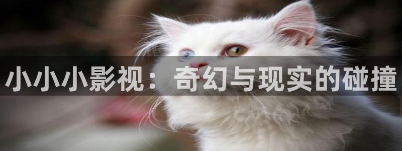 四库影院免费观看电视剧