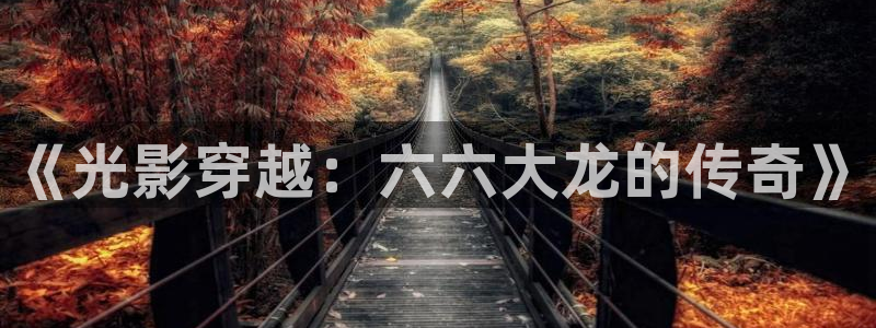 四库影院电视剧免费观看高清