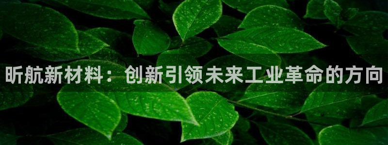 天辰平台注册稳定通道推荐：昕航新材料：创新引领未来